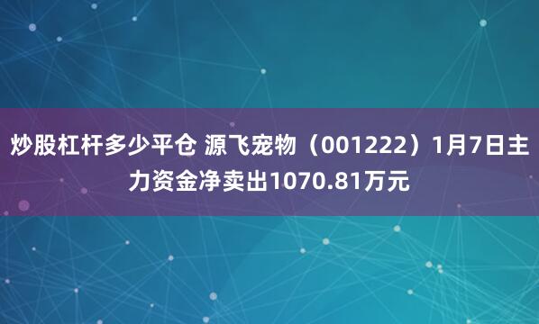 炒股杠杆多少平仓 源飞宠物（001222）1月7日主力资金净卖出1070.81万元