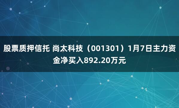 股票质押信托 尚太科技（001301）1月7日主力资金净买入892.20万元