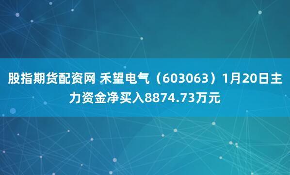 股指期货配资网 禾望电气（603063）1月20日主力资金净买入8874.73万元