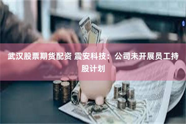 武汉股票期货配资 震安科技：公司未开展员工持股计划