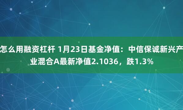 怎么用融资杠杆 1月23日基金净值：中信保诚新兴产业混合A最新净值2.1036，跌1.3%