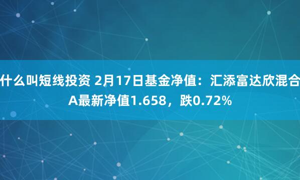 什么叫短线投资 2月17日基金净值：汇添富达欣混合A最新净值1.658，跌0.72%