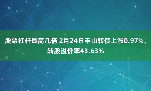 股票杠杆最高几倍 2月24日丰山转债上涨0.97%，转股溢价率43.63%