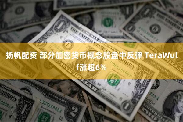 扬帆配资 部分加密货币概念股盘中反弹 TeraWulf涨超6%