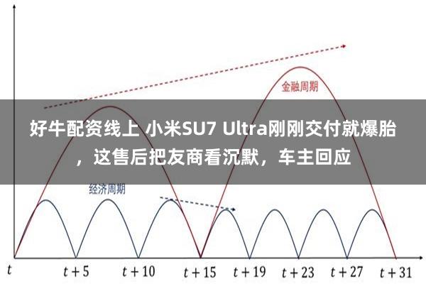 好牛配资线上 小米SU7 Ultra刚刚交付就爆胎，这售后把友商看沉默，车主回应